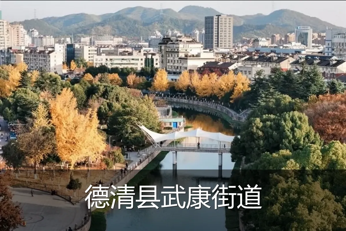 德清县武康街道