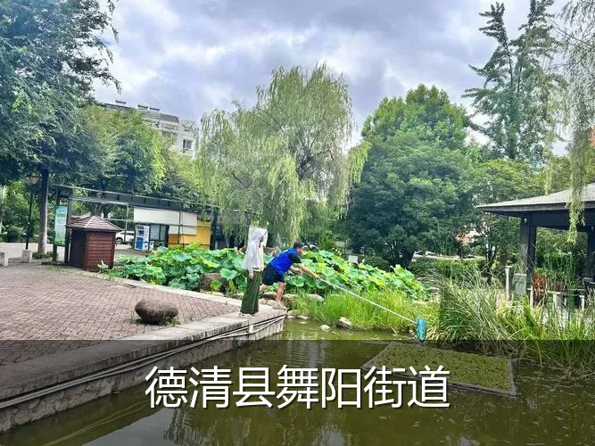 德清县舞阳街道